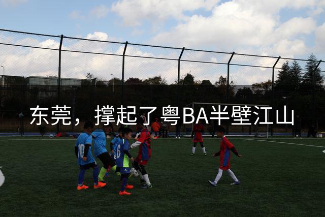 东莞，撑起了粤BA半壁江山