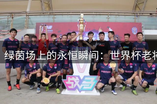 绿茵场上的永恒瞬间：世界杯老将谢幕与人性光辉交织